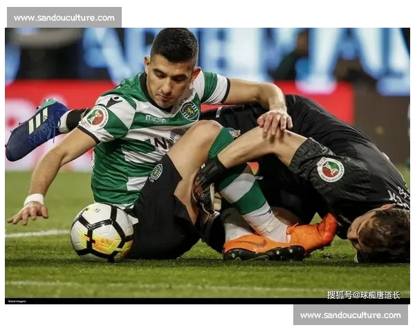 体育数据深度解析与趋势预测助力竞技表现优化